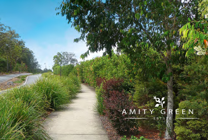 Amity Green Promo Image