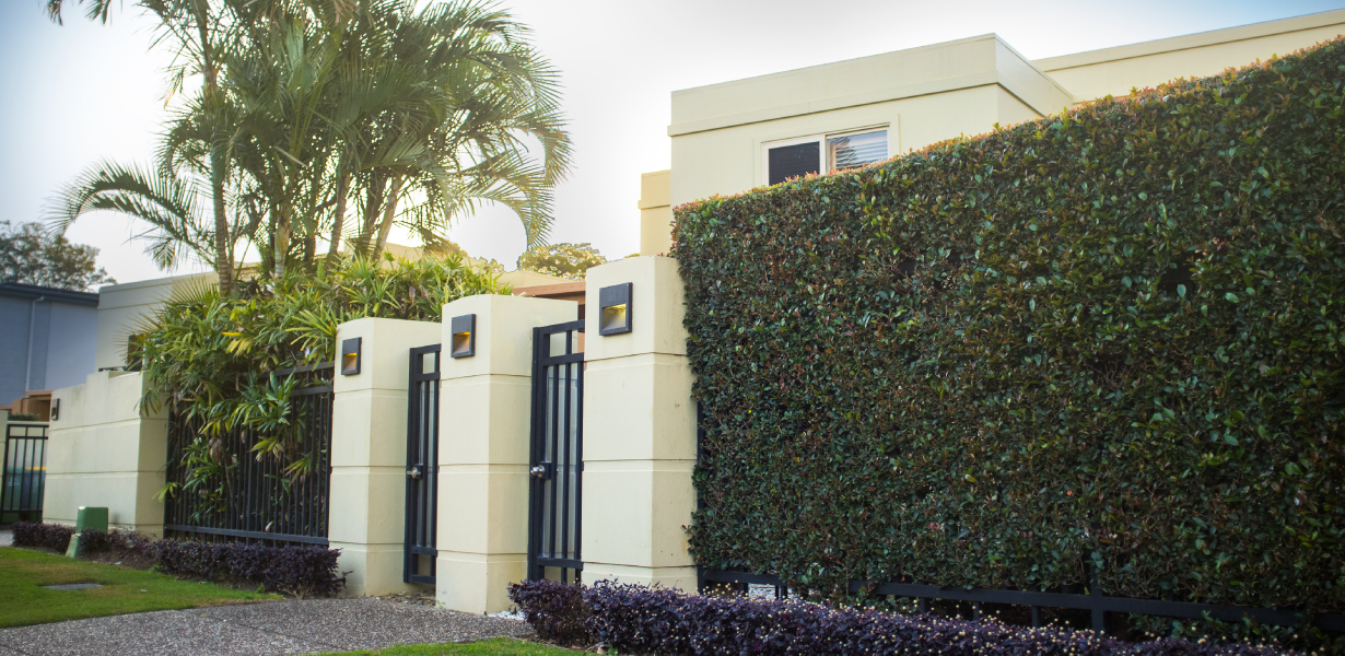Brighton Mews front gate